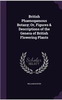 British Phaenogamous Botany; Or, Figures & Descriptions of the Genera of British Flowering Plants