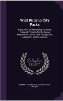 Wild Birds in City Parks