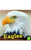 Eagles