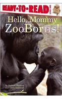 Hello, Mommy Zooborns!