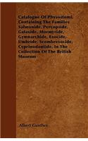 Catalogue of Physostomi, Containing the Families Salmonide, Percopside, Galaxide, Mormyride, Gymnarchide, Esocide, Umbride, Scombresocide, Cyprinodont