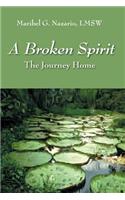 A Broken Spirit: The Journey Home(English)