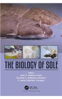 Biology of Sole