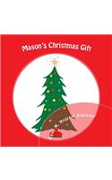 Mason's Christmas gift