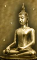 Golden Buddha Journal