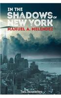 In The Shadows of New York