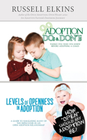 Levels of Openness in Adoption