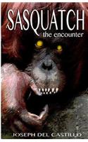 Sasquatch the encounter