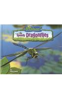 Speedy Dragonflies