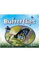 Butterflies: (Animal Kingdom)