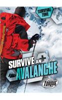 Survive an Avalanche