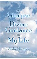 A Glimpse of Divine Guidance in My Life