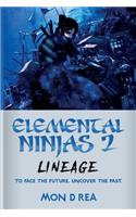 Elemental Ninjas 2