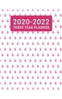 2020-2022 Three Year Planner: Monthly Planner - 36 Month Calendar Planner Diary for Next 3 Years With Notes For Women - Breast Cancer Awareness Survivor Pink Ribbon (8.5"x11")