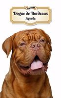 2020 Dogue de Bordeaux Agenda: 107 Pagine - Dimensioni DIN A5 - Pianificatore Settimanale - 12 Mesi - Due Pagine Per Settimana - Calendario - Diario - Cane