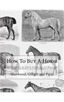 How To Buy A Horse