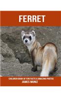 Ferret: Children Book of Fun Facts & Amazing Photos
