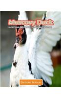 Muscovy Duck: Fun Facts and Amazing Photos of Animals in Nature