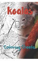 Koala Coloring Sheets