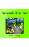 Secrets of the Pond