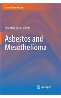 Asbestos and Mesothelioma
