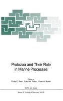 Protozoa and Their Role in Marine Processes