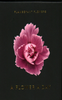 Flamboyant Flowers