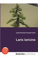 Larix Laricina