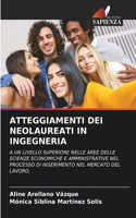 Atteggiamenti Dei Neolaureati in Ingegneria