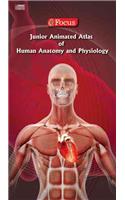 Junior Animated Atlas of Human Anatomy and Physiology