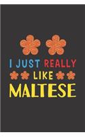 I Just Really Like Maltese