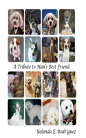 Tribute to Man's Best Friend
