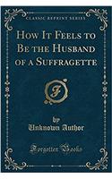How It Feels to Be the Husband of a Suffragette (Classic Reprint)