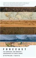 Forecast