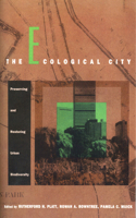 Ecological City