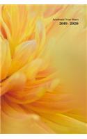 2019-2020 Academic Diary Week to View A5 Organiser Planner: Starts 1 August 2019 Until 31 July 2020. Sunburst Yellow Flower Diary. Paperback With Soft Water Repelling Matte Front Cover. High Quality.