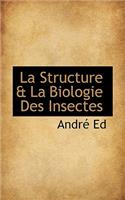 La Structure & La Biologie Des Insectes