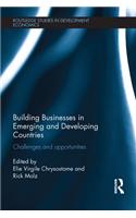 Building Businesses in Emerging and Developing Countries