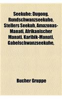 Seekuhe: Dugong, Rundschwanzseekuhe, Stellers Seekuh, Amazonas-Manati, Afrikanischer Manati, Karibik-Manati, Gabelschwanzseekuh