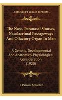The Nose, Paranasal Sinuses, Nasolacrimal Passageways and Olthe Nose, Paranasal Sinuses, Nasolacrimal Passageways and Olfactory Organ in Man Factory Organ in Man