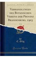 Verhandlungen Des Botanischen Vereins Der Provinz Brandenburg, 1903, Vol. 45 (Classic Reprint)