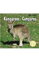 Kangaroos / Canguros