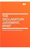 The Declaratory Judgment, Brief