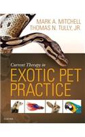 Current Therapy in Exotic Pet Practice