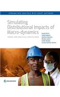 Simulating Distributional Impacts of Macro-Dynamics