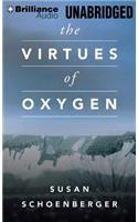 The Virtues of Oxygen