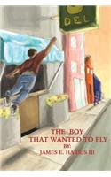 The Boy that Wanted to Fly