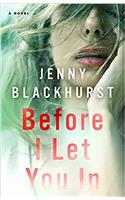 Before I Let You in