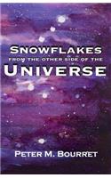 Snowflakes from the Other Side of the Universe