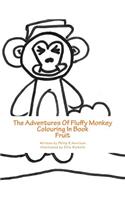 Adventures Of Fluffy Monkey